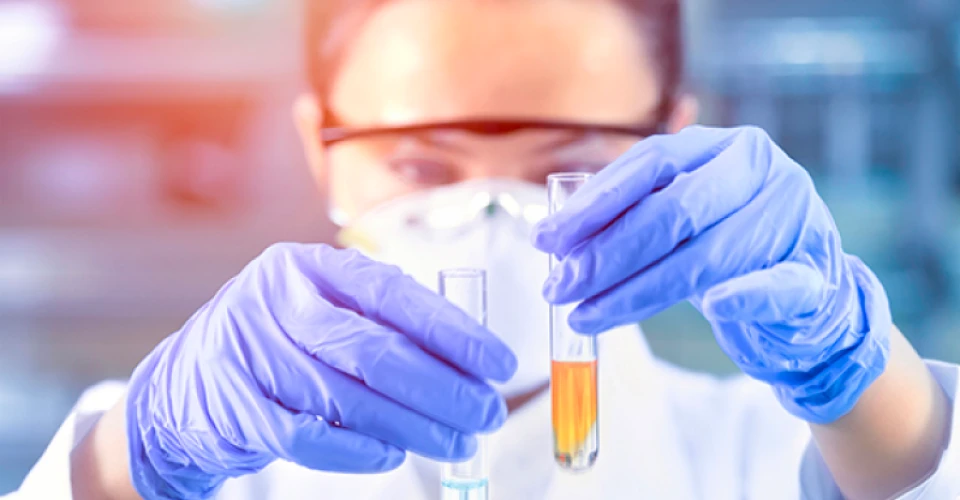 Analytical Guarantees